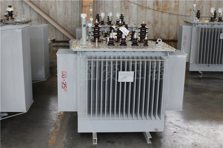 林芝S20-800kVA/10kV/0.4kV变压器